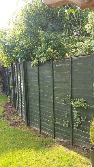 Old worn out overlap fencing in need of replacement.