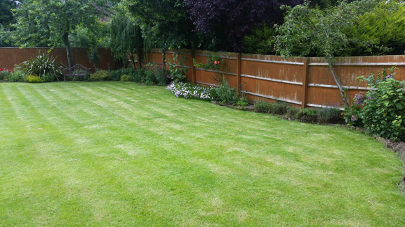 A freshly mown lawn. a fresh cut lawn