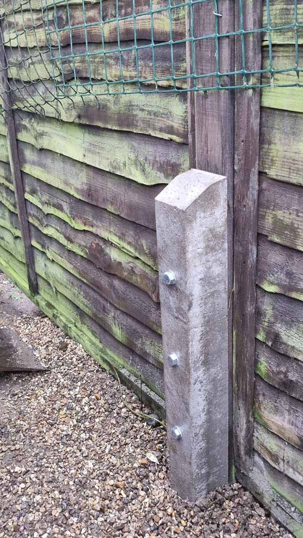 A concrete spur fitted with coach bolts to repair a rotten fence post.
