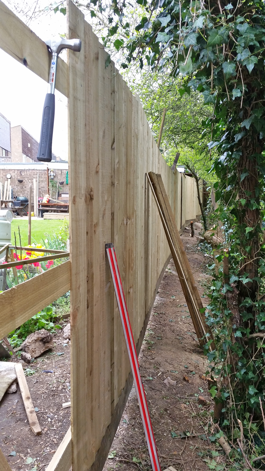 Pruning vine with secateurs